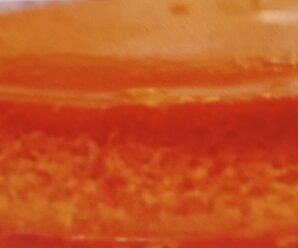 Carrot puding