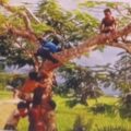 Bangladeshi Village style riding tree